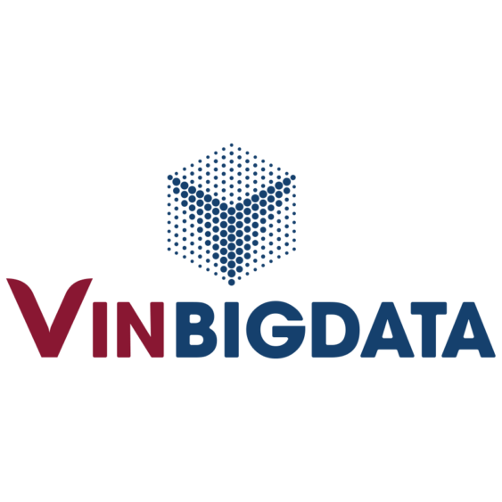Logo VinBigdata