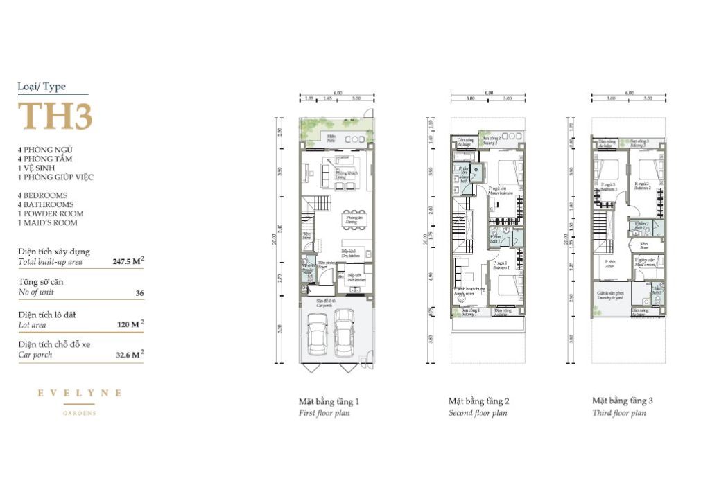 thiết kế mặt bằng TH3 Evelyne Gardens