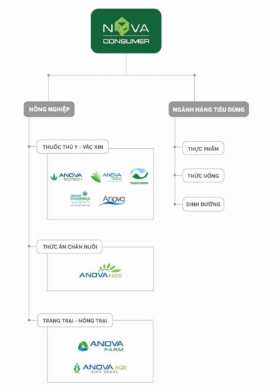 Hệ sinh thái Nova Consumer Group