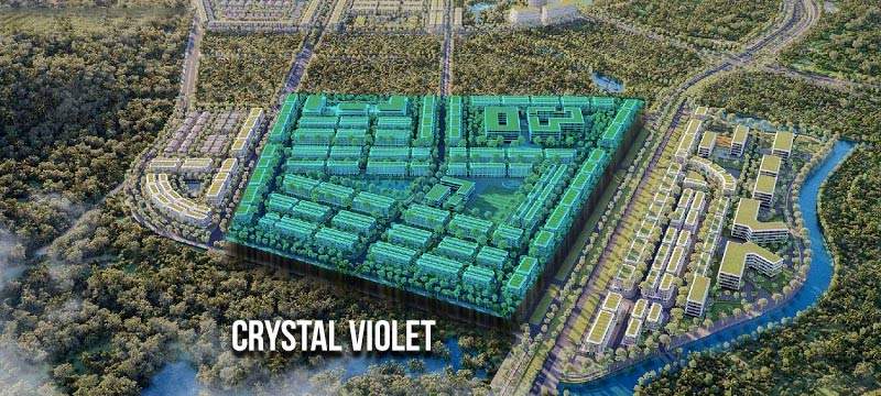 Crystal violet 20220407091007