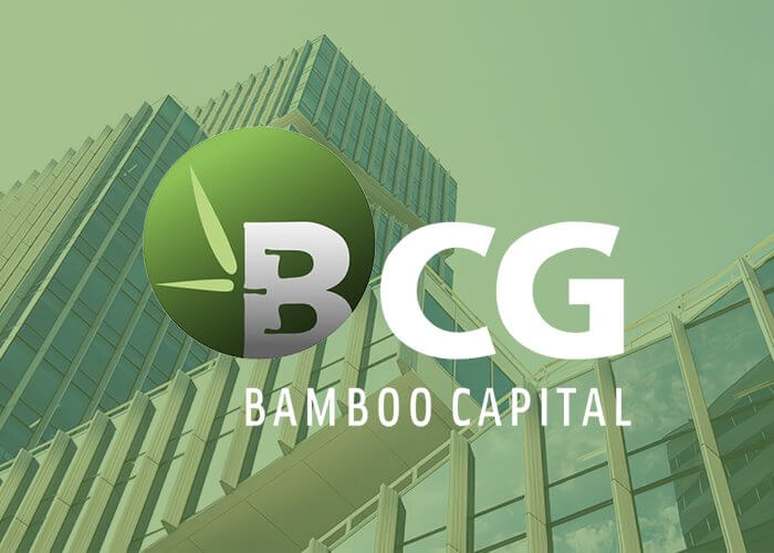 Tập đoàn Bamboo Capital - Công ty mẹ của Công ty Cổ phần Đầu tư Phát triển Công nghiệp và Vận tải
