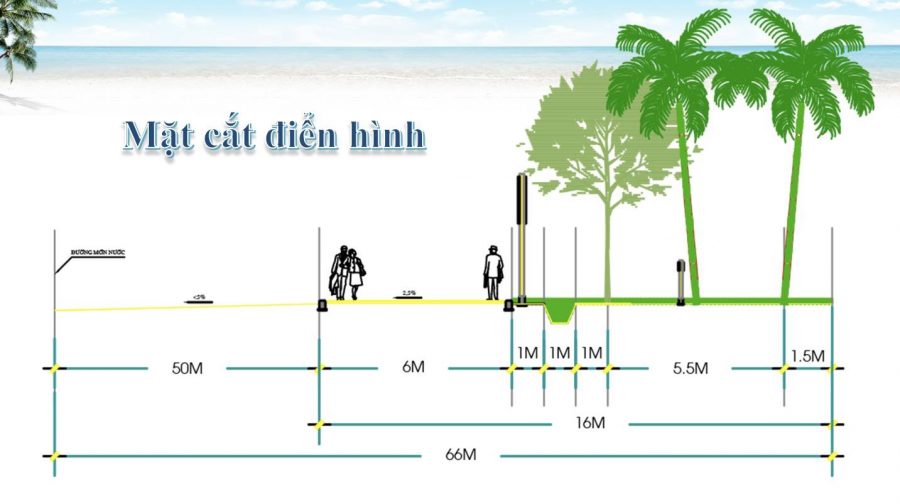 Mặt cắt điển hình tuyến đường ven biển Bãi Trường, Phú Quốc