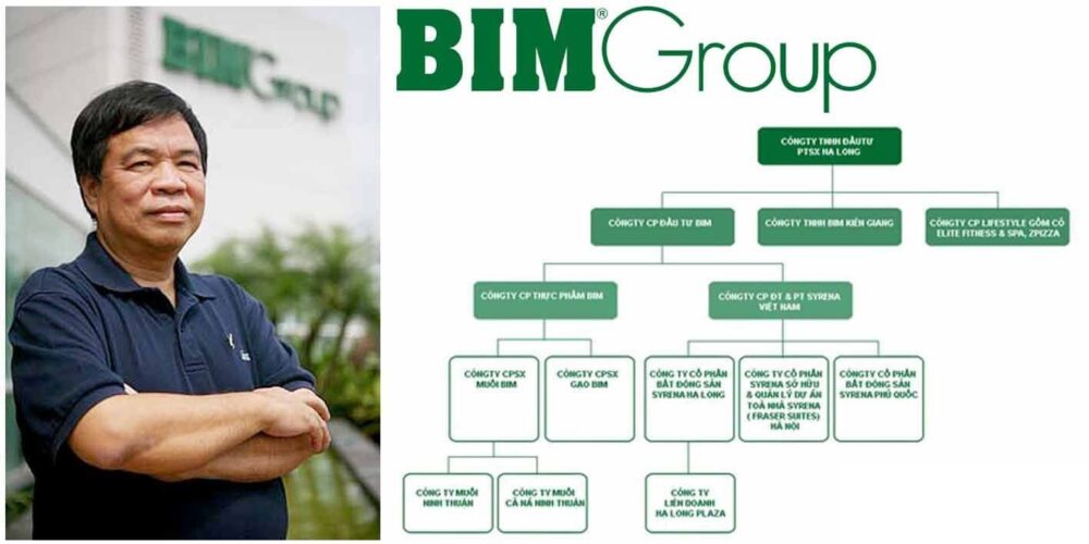 Lĩnh vựa đầu tư của BIM Group bao gồm Phát triển du lịch và đầu tư bất động sản, Dịch vụ thương mại, Năng lượng tái tạo và Nông nghiệp thực phẩm.
