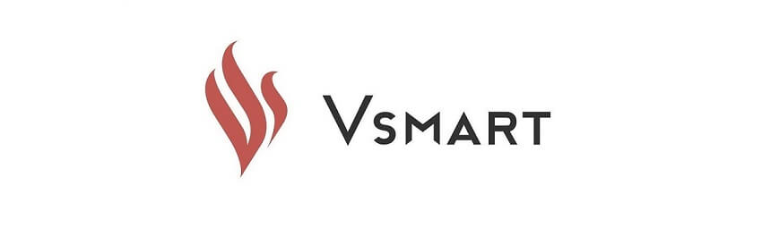Logo Vinsmart